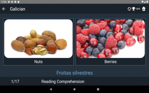 Galician Language Tests screenshot 14