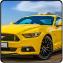 Mustang car racing simulator