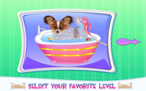 Papillon Puppy Care screenshot 1