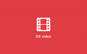 DS video screenshot 3