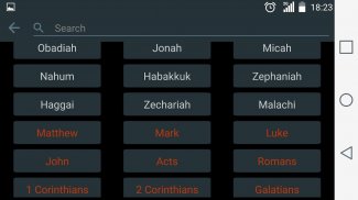 Simple English Bible Audio screenshot 13