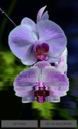 Purple Orchid Flower LWP screenshot 0