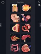 My Organs Anatomy screenshot 10