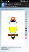 SBguide to Gouldianfinches screenshot 16