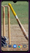 Cricket Bat Wallpaper screenshot 7