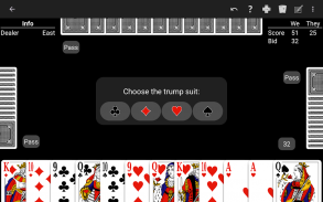 Pinochle - Expert AI screenshot 22