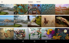 Jigsaw Puzzle Plus screenshot 4