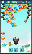 Dog Bubble screenshot 2