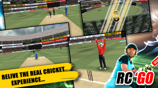 Real Cricket™ GO screenshot 7