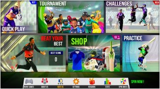 Bangladesh Cricket T20 Game screenshot 3