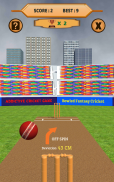Bowled 3D - Cricket Game screenshot 11
