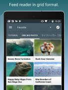 Feed Go - 使いやすいを目指すRSSリーダー screenshot 5