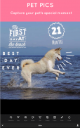Pet Pictures - Photo Editor - Pet Face Wallpapers screenshot 9