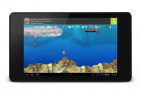 Wonder Fish ألعاب مجانية HD screenshot 20