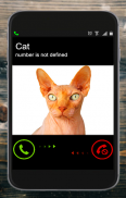 Fake Call Cat Prank screenshot 5
