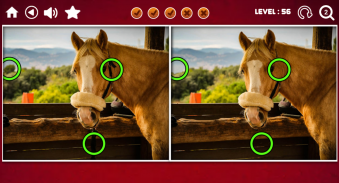 Подорож Знайди різницю screenshot 1