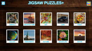 Jigsaw Puzzles+ : HD Collections screenshot 7