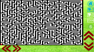 Maze And Labyrinth 3D (3456 Di screenshot 4