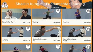 Shaolin Kung Fu screenshot 10