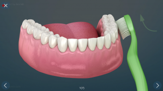 Dental 3D Illustrations screenshot 15