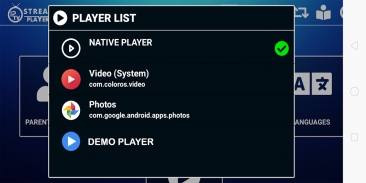 IPTV Stream Player screenshot 1
