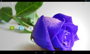 Hoa hồng xanh biếc screenshot 7