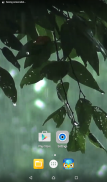Rain Live Wallpaper HD screenshot 1
