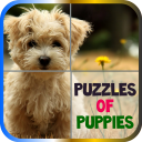 Puzzles of Puppies Free Icon