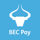 BEC Pay Icon