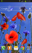 Poppies flowers LWP screenshot 1