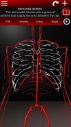 Circulatory System 3D Anatomy screenshot 18
