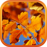 Autumn Live Wallpaper HD screenshot 10