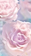 Rose Live Wallpaper screenshot 6