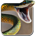 Snake Live Wallpaper PRO HD