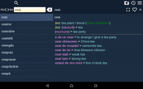 English Romanian Dictionary Fr screenshot 1