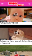 Free Funny Videos HD screenshot 5