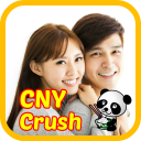 Chinese Crush New Year Icon