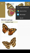Бабочки: Энциклопедия screenshot 8