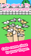 Play with Cats screenshot 0