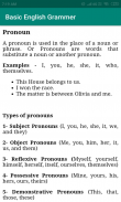Basic English Grammar screenshot 0