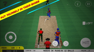 Cricket India Run Chase screenshot 4