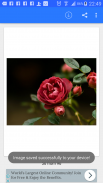 Romance and Love Photos screenshot 8
