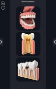 Dental  Anatomy screenshot 3
