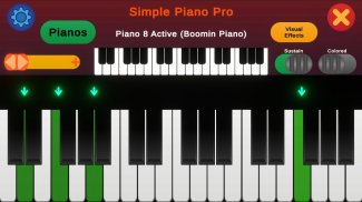 Simple Piano Pro screenshot 0