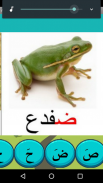 Belajar bahasa Arab screenshot 6