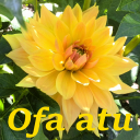 Ofa atu Icon