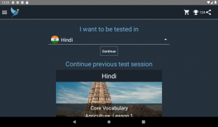 Hindi Language Tests screenshot 9