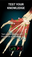 Anatomy Learning - 3D анатомический атлас screenshot 3