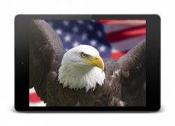 Flag of USA Live Wallpaper screenshot 8