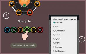 Animals ringtones screenshot 20